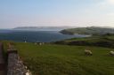 110603_180344_IMG_3981.JPG